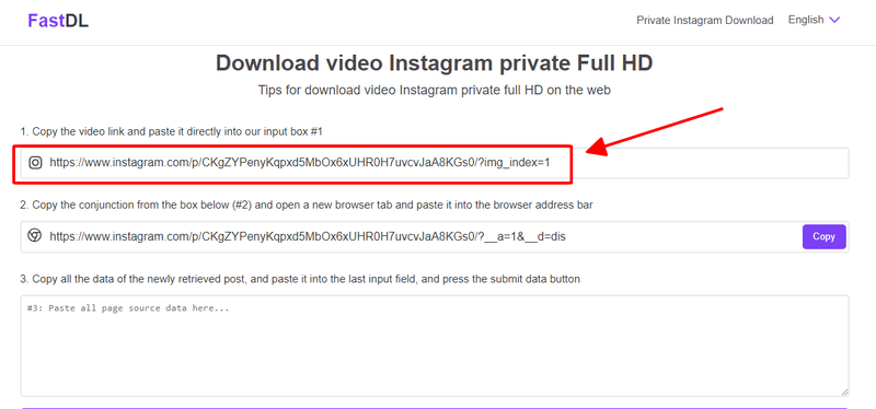 Private Instagram Downloader 2